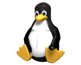 Static Tux